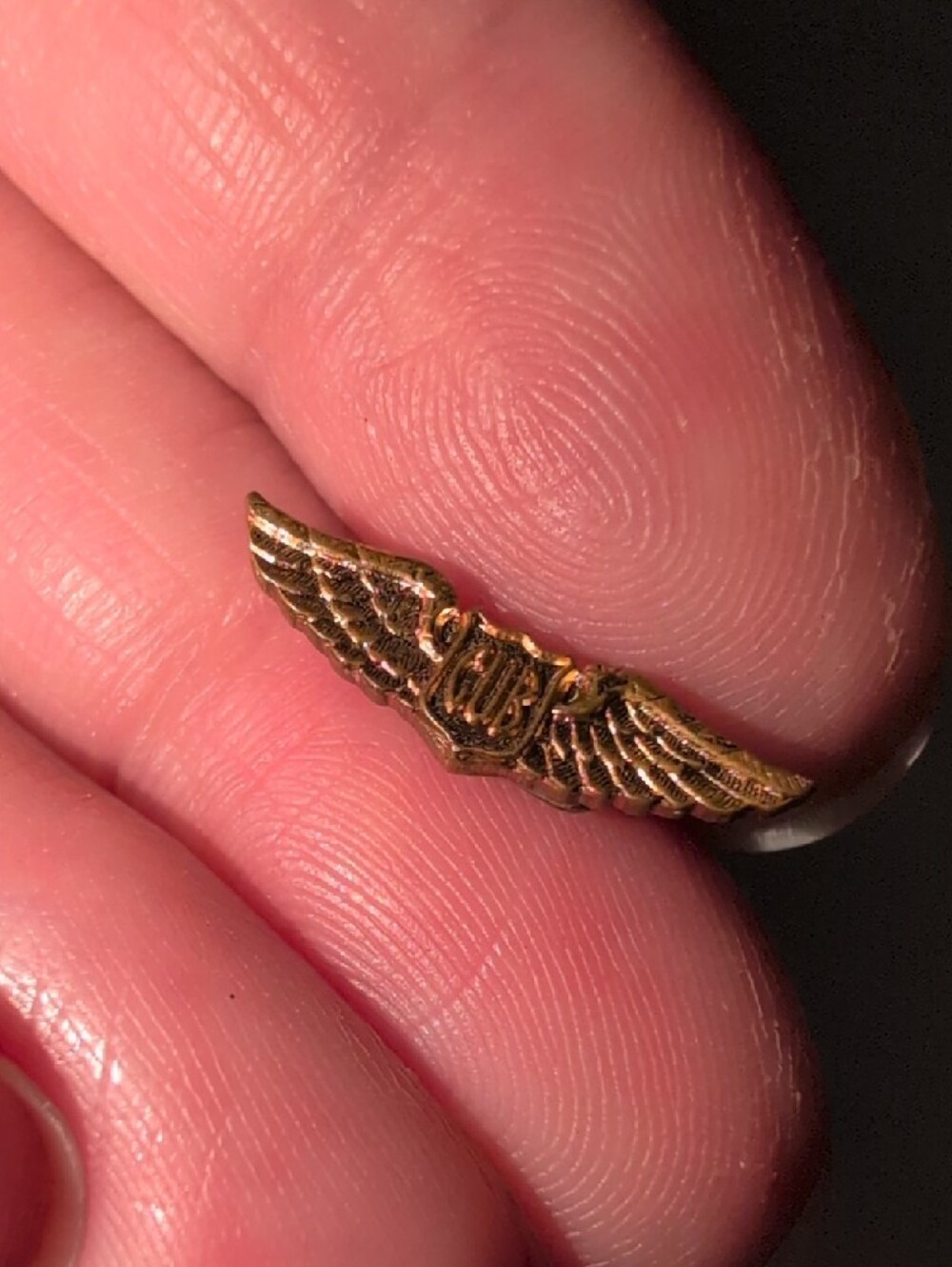 ❤️‍🔥10/$10❤️‍🔥 Cub Gold Winged Pilot/Flight Pin - Picture 3 of 5